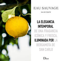 EAU SAUVAGE  100ml-85649 EAU SAUVAGE  100ml-85649 1